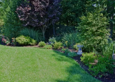 MG's Lawn Green Inc - Lawn Aeration in Pleasantville, NY
