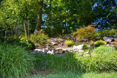 MG's Lawn Green Inc - Lawn Aeration in Pleasantville, NY
