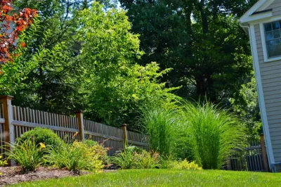 MG's Lawn Green Inc - Lawn Aeration in Pleasantville, NY