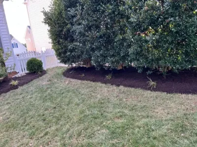 Michael Jakson landscape and tree services - Landscape Maintenance in Richmond, VA