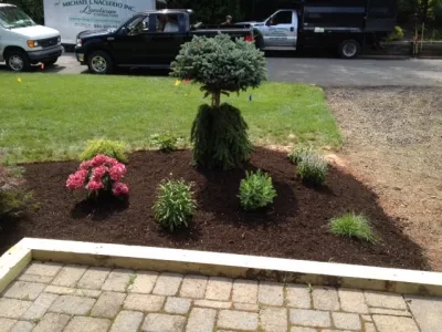 Michael L. Naclerio, Inc. - Lawn Aeration in West Nyack, NY