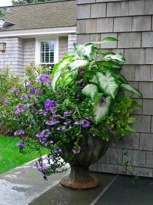 Michael P. Neath Landscape Construction, Inc. - Landscape Maintenance in Centerville, MA