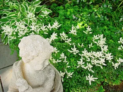 Michael P. Neath Landscape Construction, Inc. - Landscape Maintenance in Centerville, MA