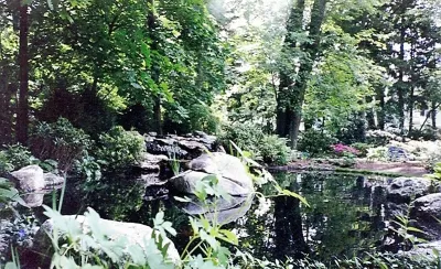 Pond Installation — Landscape Construction project by Michael P. Neath Landscape Construction, Inc. in Belmont