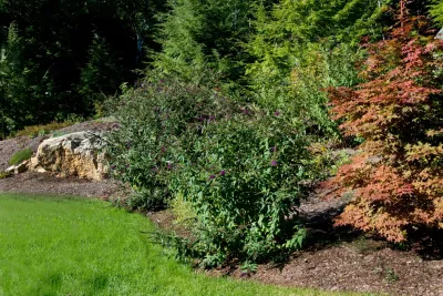 Comprehensive Landscaping with Patio, Retaining Wall, Fire Pit by Michael Therrien Landscaping, LLC