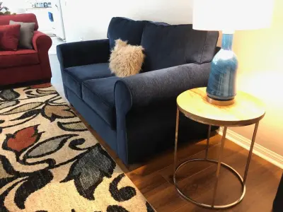 Lively Living Space — Interior Design & Decorating project by Jill Nelson Design Service