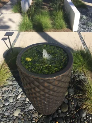 Elegant Estelle by Camille Beehler Landscape Design