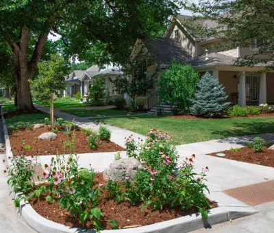 Mill Brothers Landscape Group - Drip Irrigation System Installation in Timnath, CO