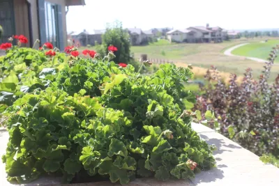 Mill Brothers Landscape Group - Drip Irrigation System Installation in Timnath, CO