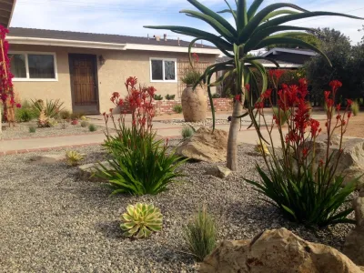 Costa Mesa color/Water conservation, — Landscape Design project by Camille Beehler Landscape Design