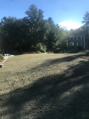 Lawn Installation by Millennial Landscaping, Inc.