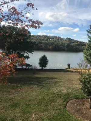 Brush Clearing — Landscape Construction project by Millennial Landscaping, Inc.