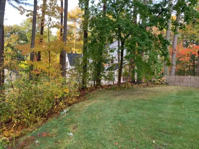 Front Yard Lawn Renovation/Planting — Landscape Construction project by Millennial Landscaping, Inc.