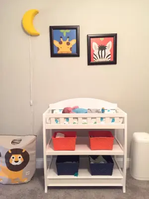 Vibrant Animal-Themed Nursery for a Baby Boy — Interior Design & Decorating project by Interiors By SarahRose