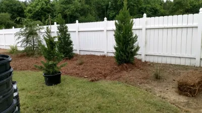 Miller's Lawn & Landscaping - Tree & Shrub Care in Dunn, NC