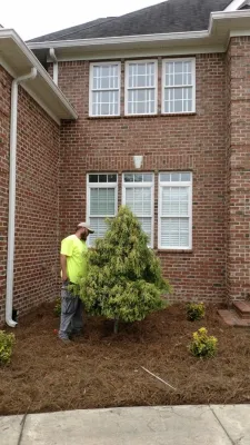 Miller's Lawn & Landscaping - Tree & Shrub Care in Dunn, NC
