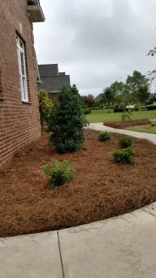 Miller's Lawn & Landscaping - Tree & Shrub Care in Dunn, NC