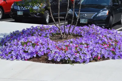Miracle Farms Landscape Contractors - Lawn Aeration in Moultonborough, NH