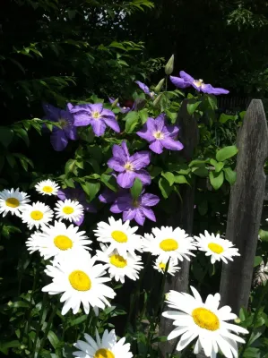 Miracle Farms Landscape Contractors - Lawn Aeration in Moultonborough, NH