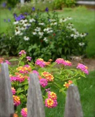 Miracle Farms Landscape Contractors - Lawn Aeration in Moultonborough, NH