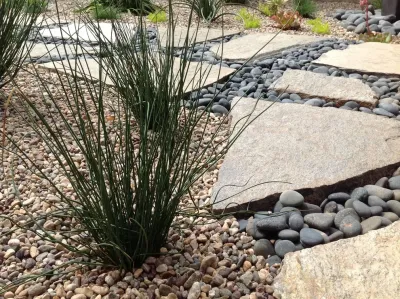 Camille Beehler Landscape Design - Patio Design & Installation in Costa Mesa, CA
