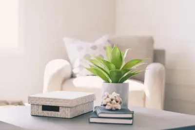 Stagecoach Studios - Interior Design & Decorating in Rochester, MN
