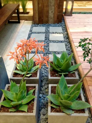 "At Home in the Garden" South Coast Plaza Garden Show — Landscape Design project by Camille Beehler Landscape Design