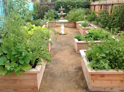 Costa Mesa Affordable Apartment by Camille Beehler Landscape Design