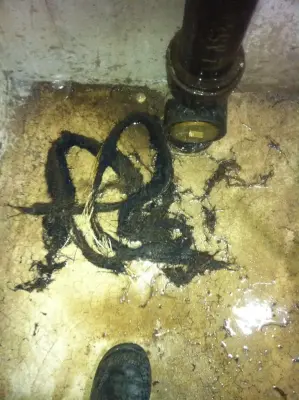 Pro Power Rooter - Plumbing Services in Colorado Springs, CO