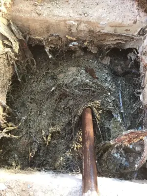 Picture Rocks Plumbing LLC. - Plumbing Services in Tucson, AZ