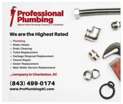 Professional Plumbing - Plumbing Services in Summerville, SC