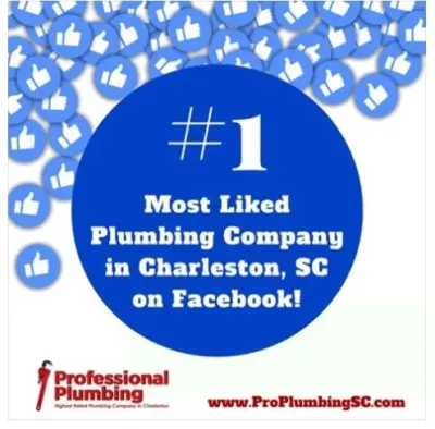 Professional Plumbing - Plumbing Services in Summerville, SC