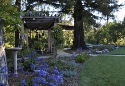 Modern Landscaping, Inc. - Landscape Maintenance in Campbell, CA