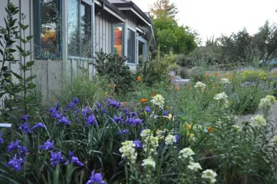 Modern Landscaping, Inc. - Landscape Maintenance in Campbell, CA