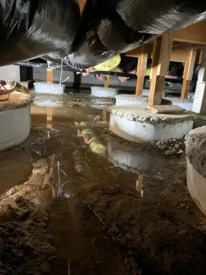 Crawl Space & Drainage Systems LLC - Plumbing Services in Lynnwood, WA