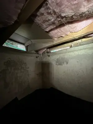 Crawl Space & Drainage Systems LLC - Plumbing Services in Lynnwood, WA