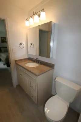 Exton Master and Hall Bathroom Vanities — Plumbing Services project by Mattioni, Inc