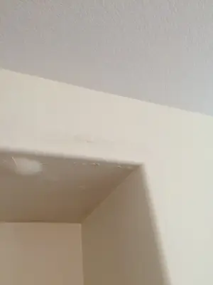 Home Absence Water Damage — Plumbing Services project by Leak Star Advanced Leak Detection