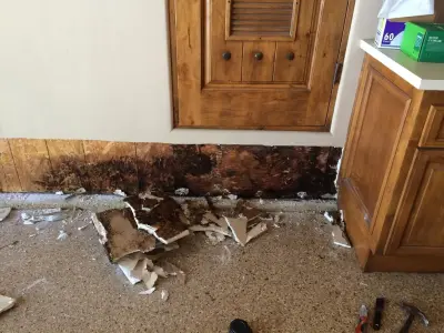 Leak Star Advanced Leak Detection - Plumbing Services in Oceanside, CA