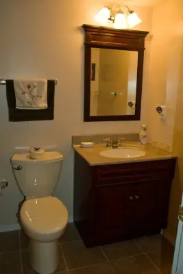 Lemay Plumbing Inc - Plumbing Services in St Louis, MO