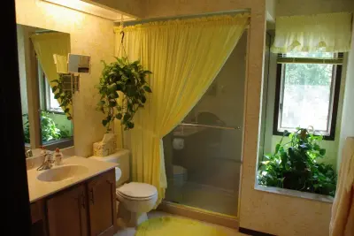 Lemay Plumbing Inc - Plumbing Services in St Louis, MO