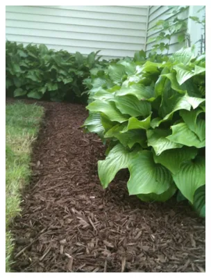 Monroe Lawn Care And Outdoor Design, LLC - Landscape Construction in Georgetown, KY