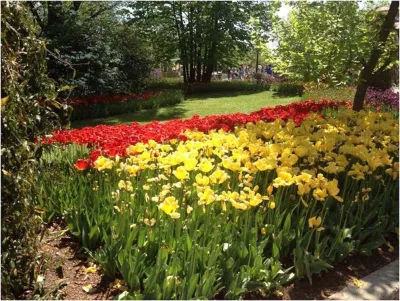 Monroe Lawn Care And Outdoor Design, LLC - Landscape Construction in Georgetown, KY