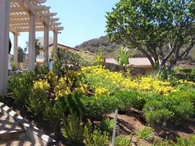 MoonCo Landscape & Maintenance - Drought-Resistant Lawn Installation in Simi Valley, CA