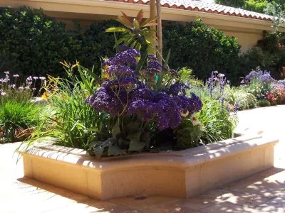 MoonCo Landscape & Maintenance - Drought-Resistant Lawn Installation in Simi Valley, CA