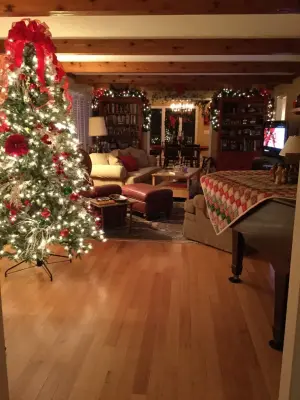 Festive Residence Ornamentation Design — Interior Design & Decorating project by Lasting Impressions By Design