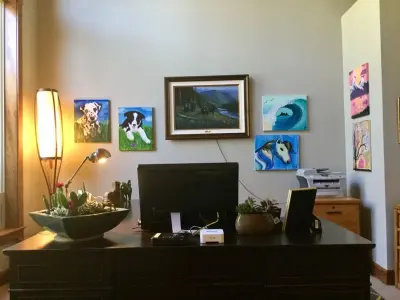 Shibusa Designs, L.L.C. - Professional Home Organizers in Coeur Dalene, ID