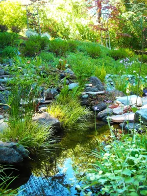 Lafayette Garden/Water Feature Remodel — Landscape Design project by Camp & Camp Associates-Landscape Architects