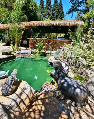 Jungle Land by Camp & Camp Associates-Landscape Architects