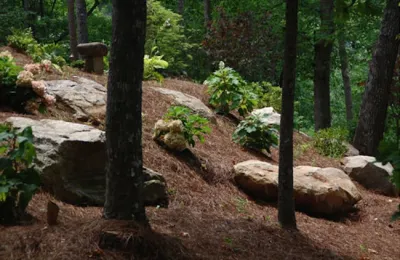 MTScapes, Inc. - Landscape Construction in Cumming, GA